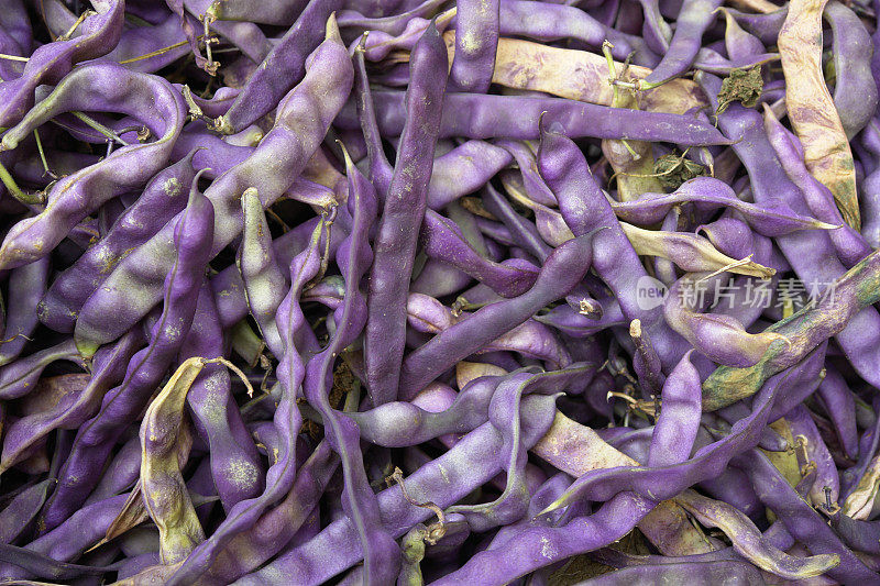 紫色有机豆类