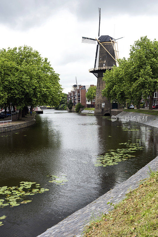 鹿特丹传统的石头风车