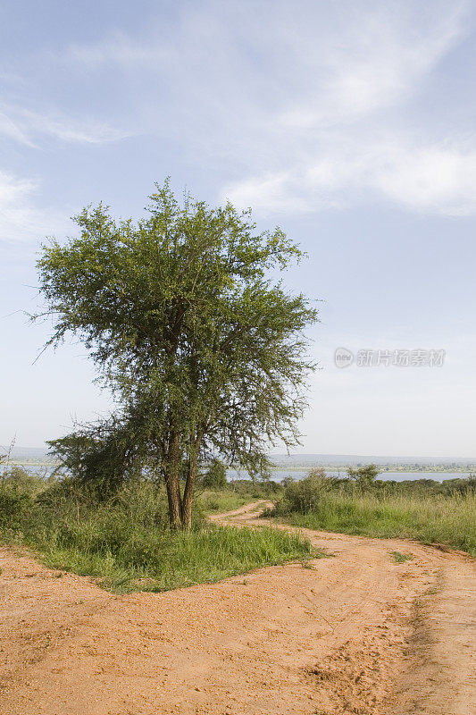 乌干达莫奇森瀑布蜿蜒的道路