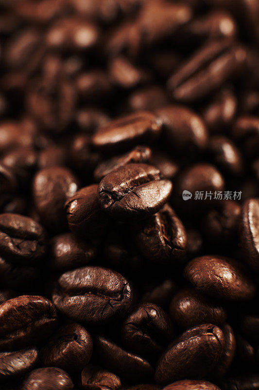 大量供应烘培咖啡豆
