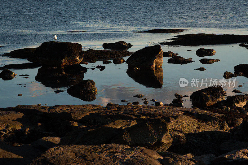 海岸线