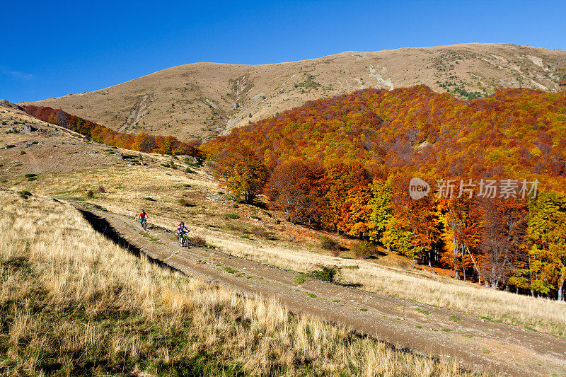 在一个美丽的秋日，两名骑自行车的人在山上骑行