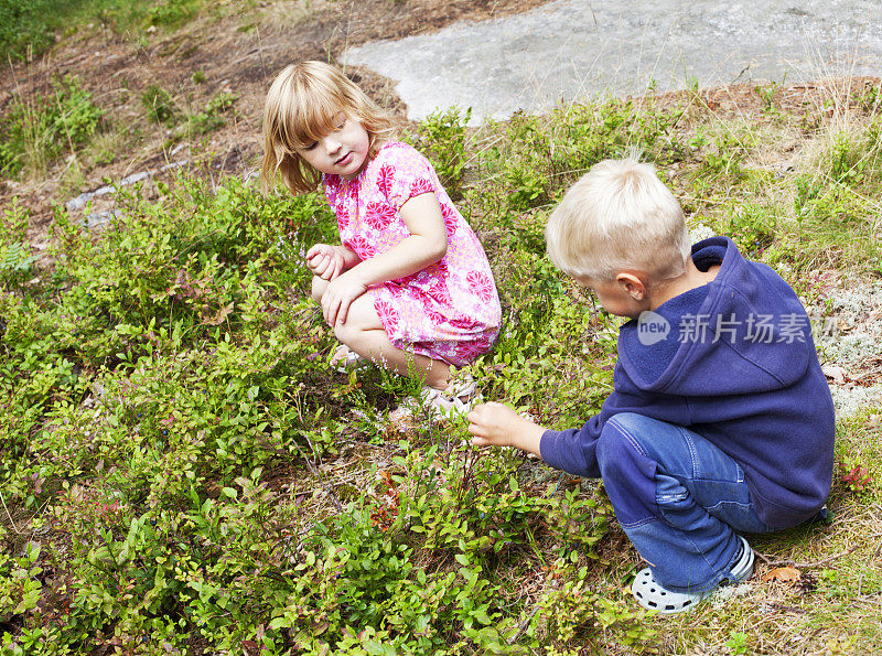 两个小孩在蓝莓森林里。