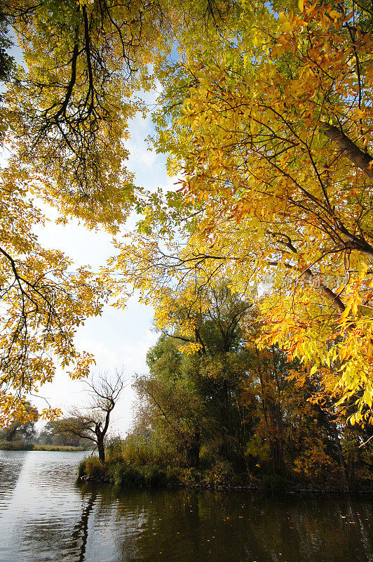 哈维尔河的景观在秋天与黄叶