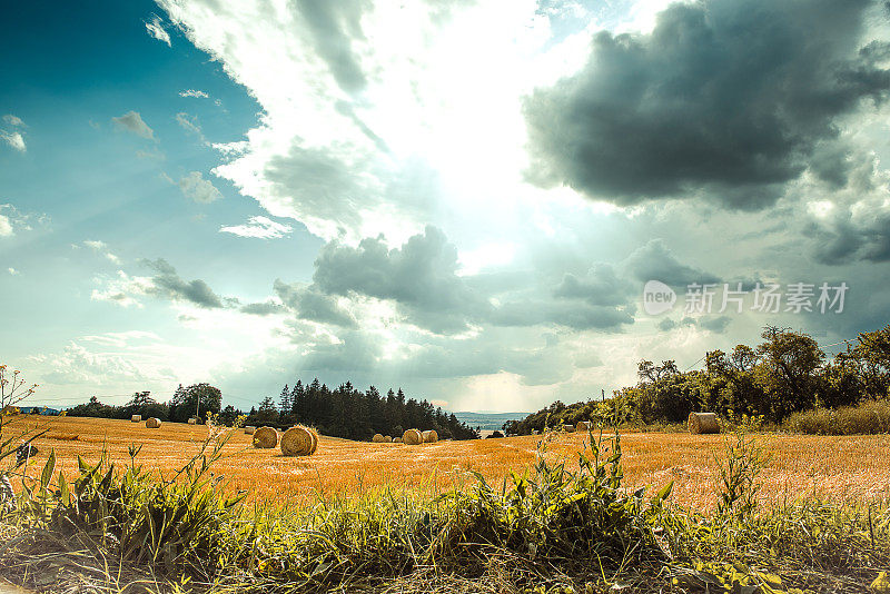 夏天的田野，稻草捆