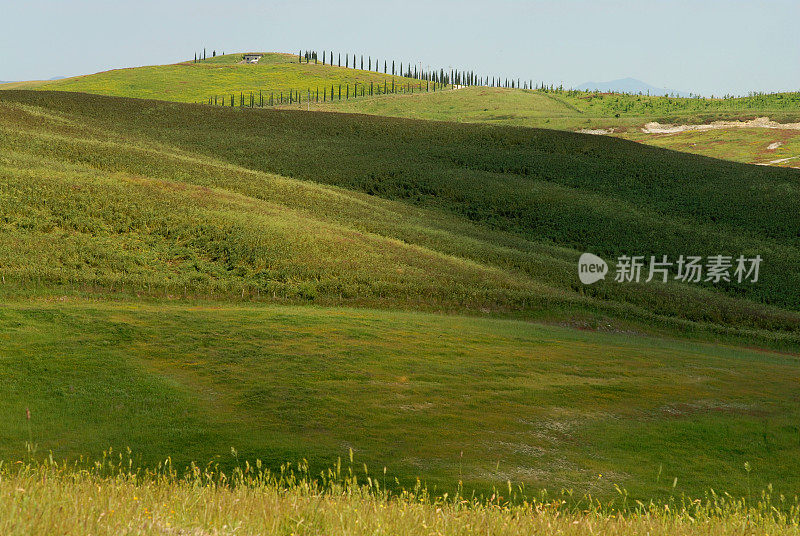 农业田顶天景观