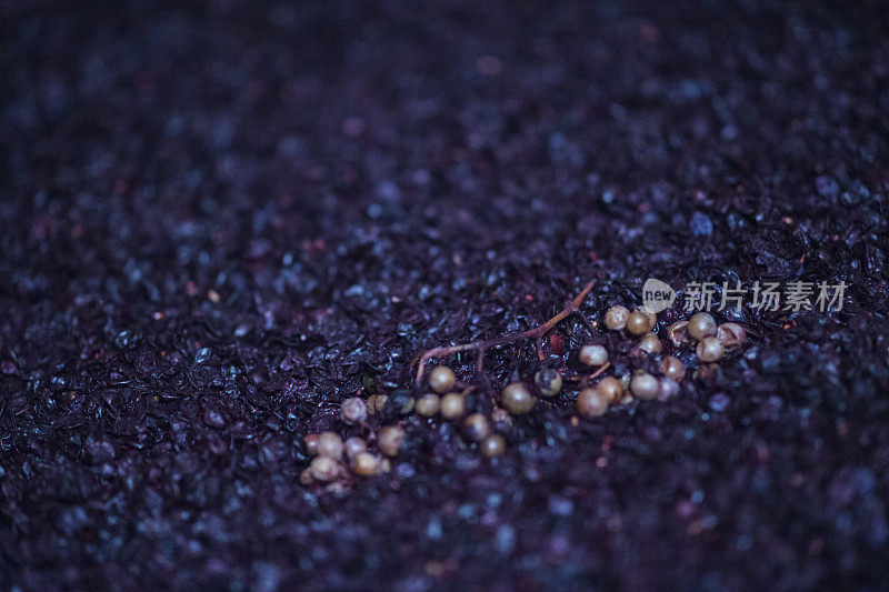 在大桶中发酵的紫葡萄
