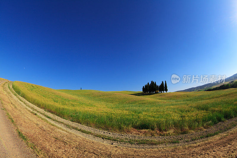 意大利瓦尔德奥西亚的托斯卡纳风景。