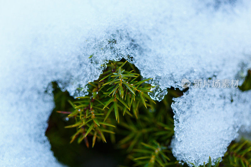 融化的雪