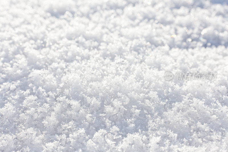 以雪为背景的冬季景观