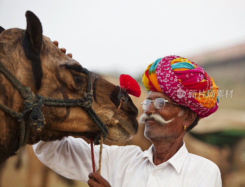 骄傲的骆驼主人，留着胡子，缠着头巾。布什格尔、印度。