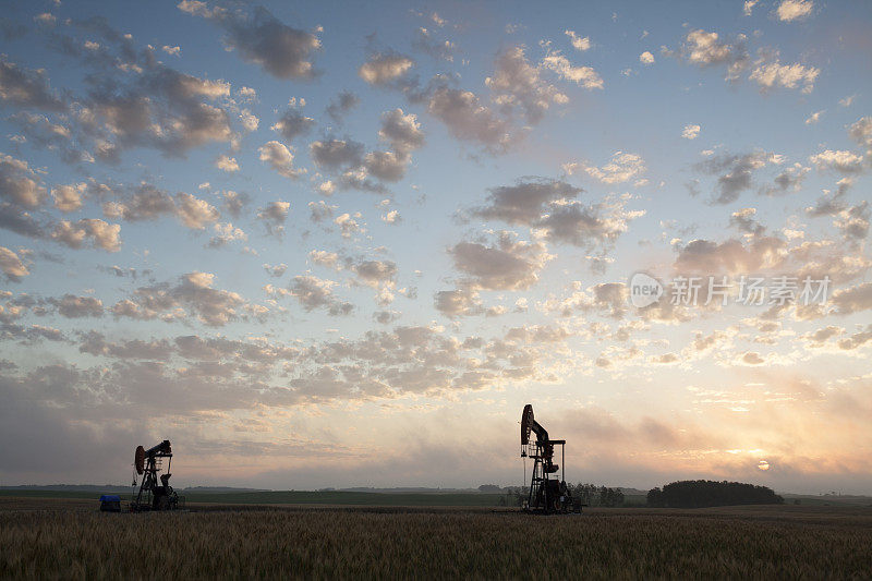 加拿大马尼托巴大草原的油泵