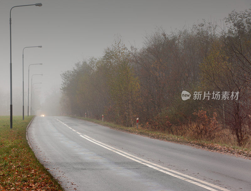 雾和道路