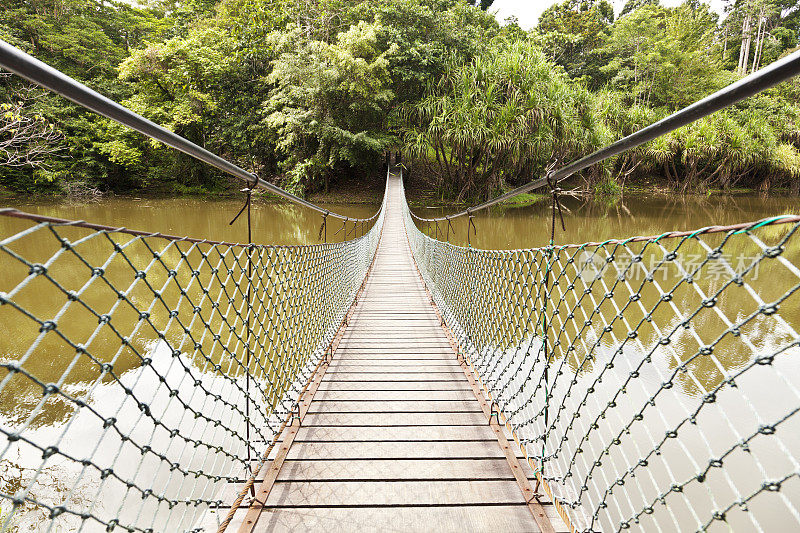 丛林中的绳索桥