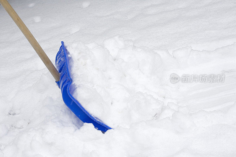 蓝雪铲