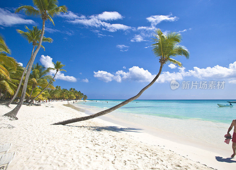 多米尼加共和国美丽的绍纳岛海滩