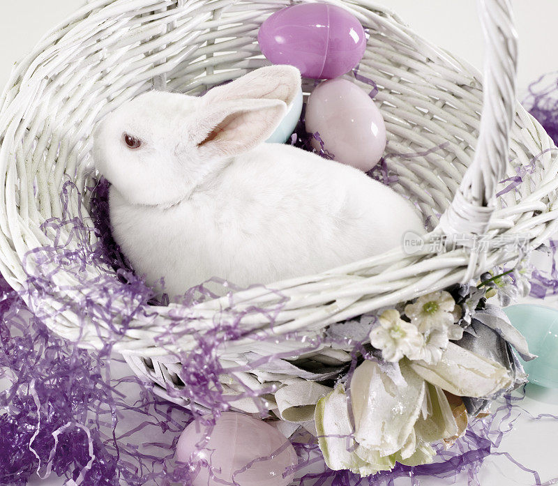 复活节:白兔在篮子里放着鸡蛋、草。