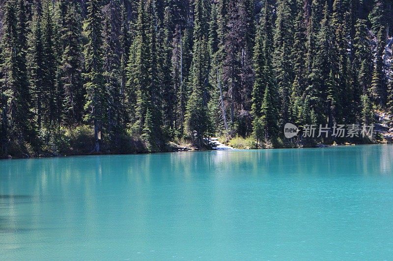 绿松石色的湖被茂密的森林包围着