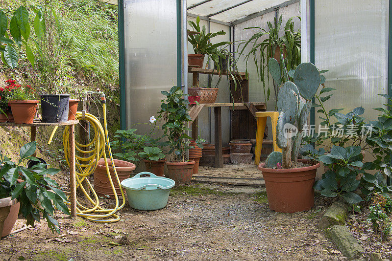 植物苗圃