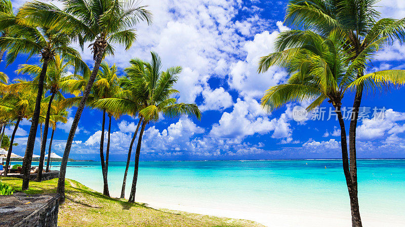 热带风光。美丽的棕榈海滩与绿松石水域，毛里求斯岛