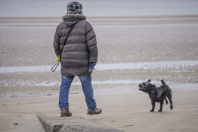 老人在海滩上遛狗