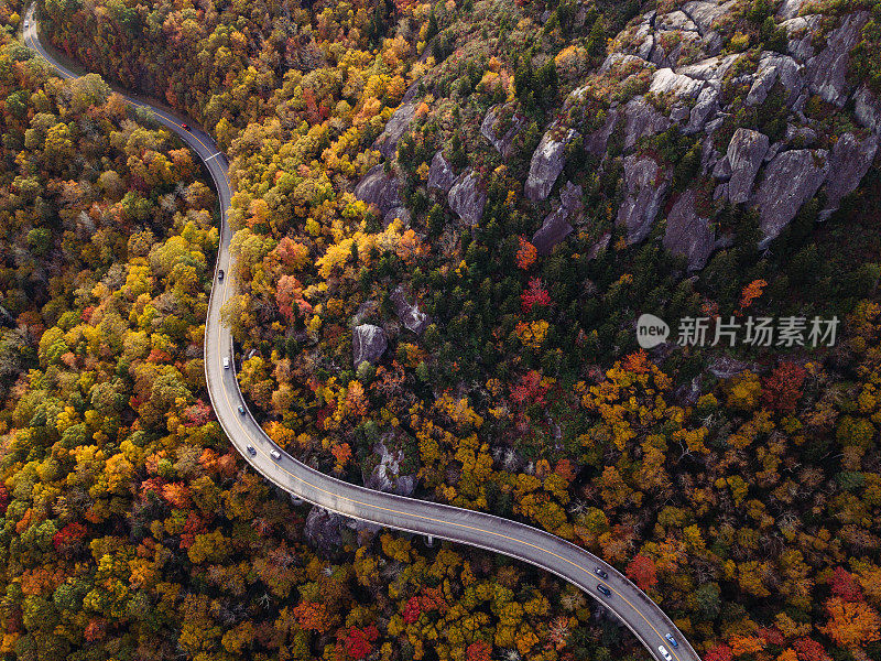 道路穿过森林与汽车