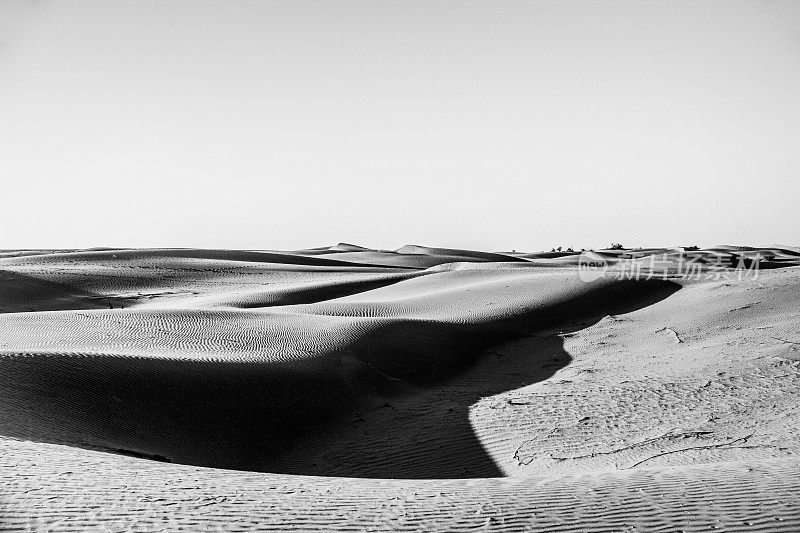 沙漠的阴影