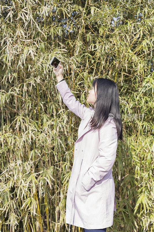 一名女子靠着一堵大篱笆用智能手机拍照