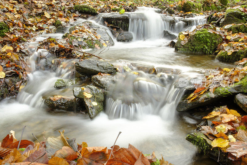 小溪流与秋天的颜色在山毛榉森林在艾菲尔