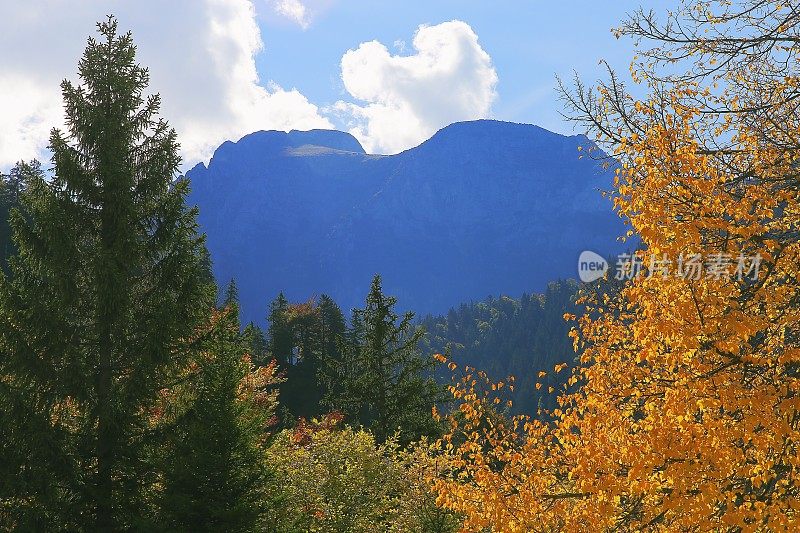 卡文德尔松林山，秋天的巴伐利亚阿尔卑斯山-富森和阿尔高-德国