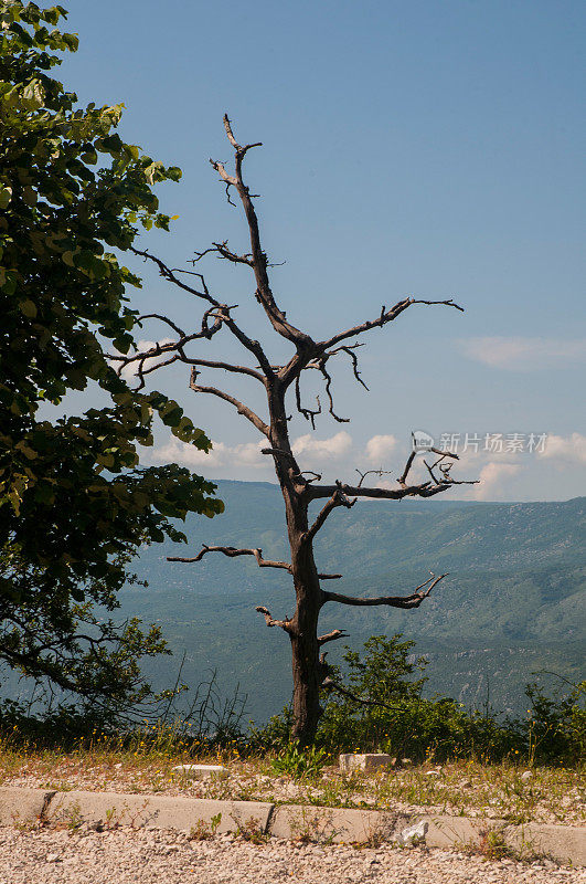黑山的山脉景观