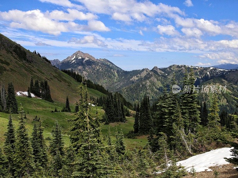 飓风岭山，冰川清理，奥林匹克国家公园，西澳