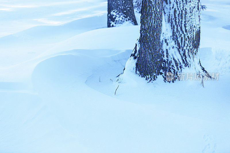 雪堆和树干