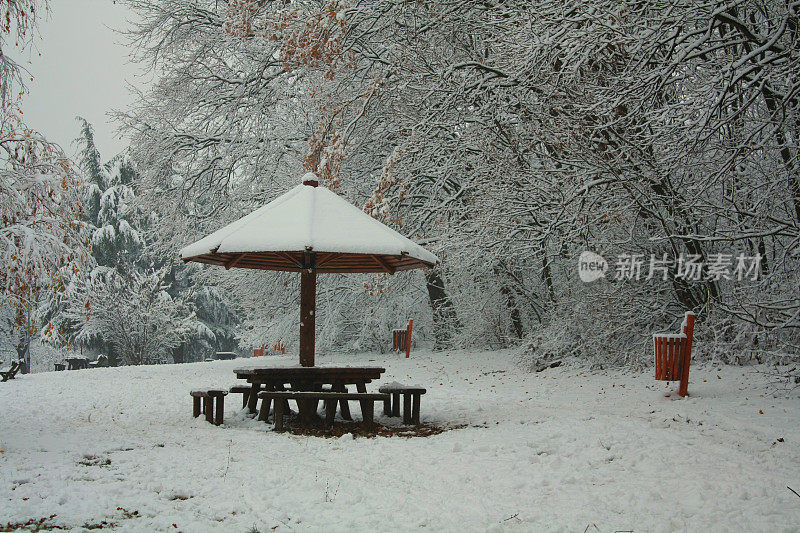 贝尔格莱德冬天的雪景