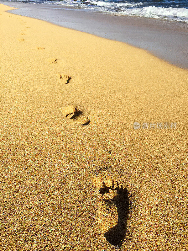 夏威夷海滩上的金色沙滩和浪花