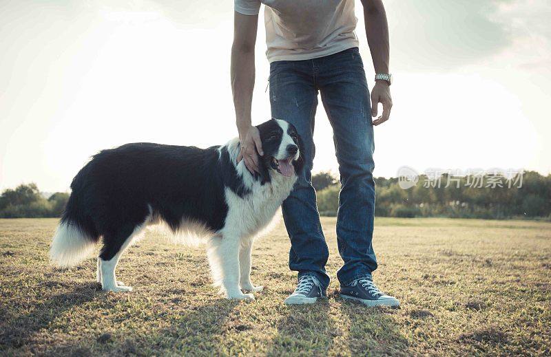 男主人和他的边境牧羊犬享受闲暇时光