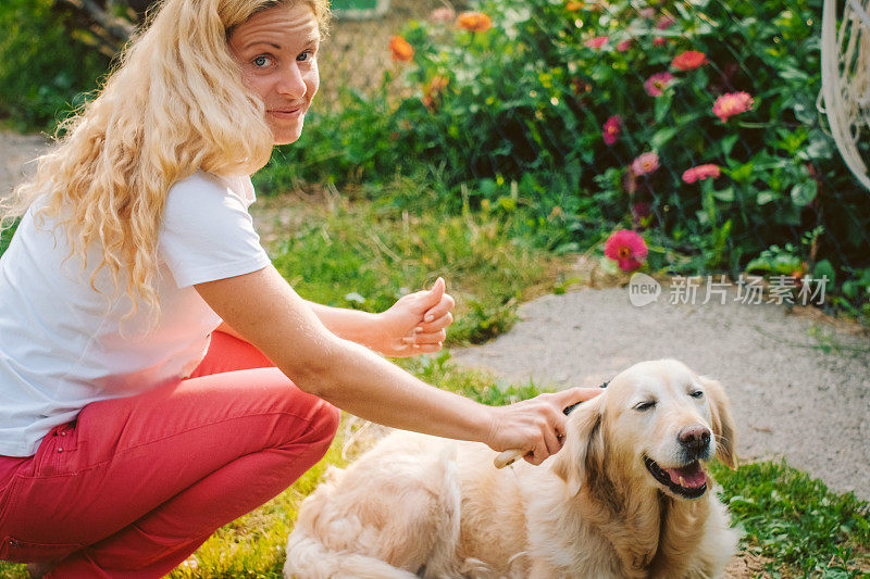 年轻女子梳理着一条绿色的金毛猎犬