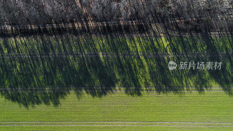 农业区域，田野，阴影和树木-春天的时间