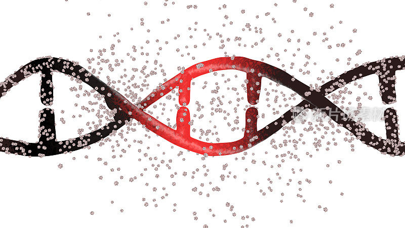 DNA双螺旋变化:突变的DNA进化成在白色背景上分离的正常DNA