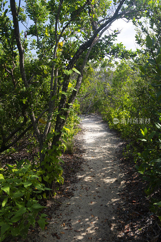 长基州立公园，佛罗里达礁岛-美国