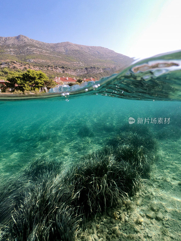 夏季的亚得里亚海海岸线