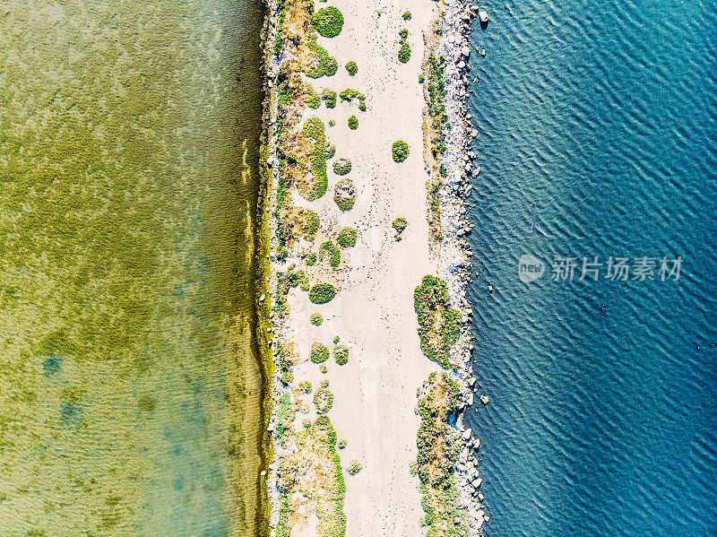 鸟瞰图的海滨与布什