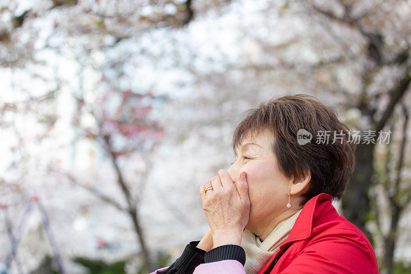 老妇人在欣赏樱花