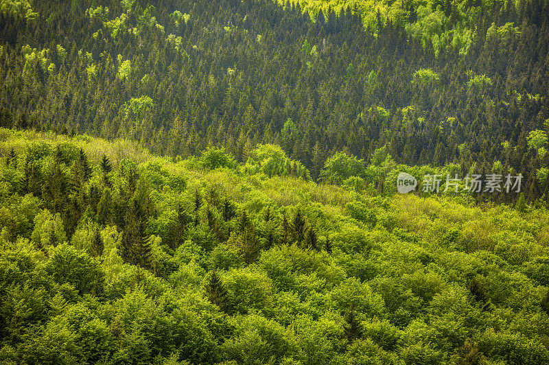 全景山景