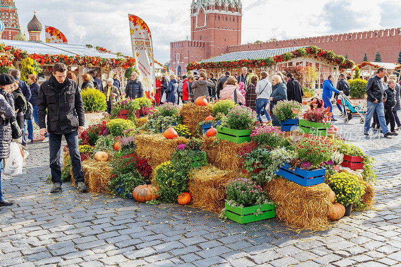 莫斯科红场传统节日金秋上的蔬菜和植物装饰装置