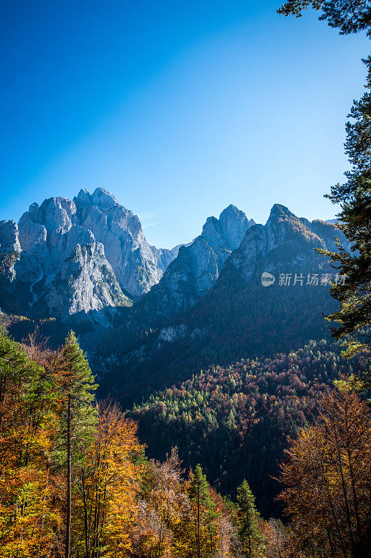 意大利朱利安阿尔卑斯山美丽的秋天山景