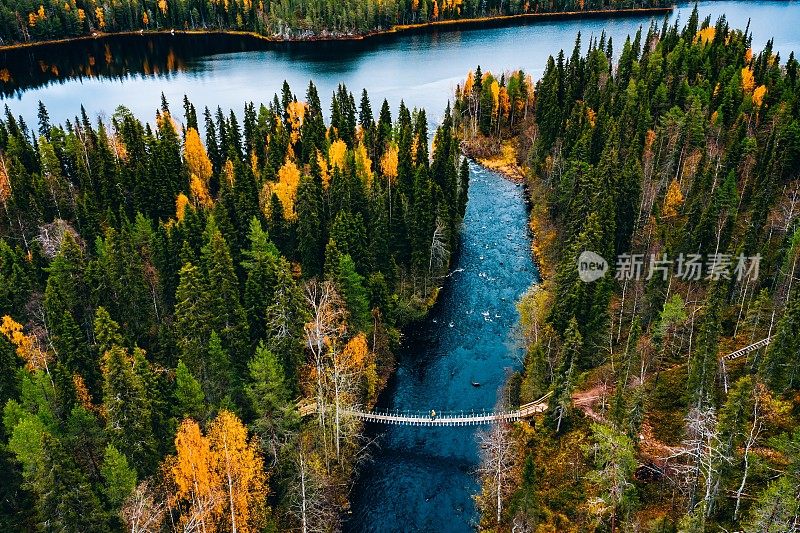 鸟瞰芬兰五彩缤纷的秋天森林中的河流和吊桥。