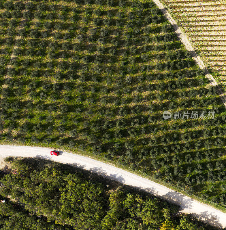 鸟瞰图的乡村道路基安蒂地区，托斯卡纳，意大利