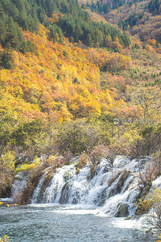 风景优美的木山和五花湖(九寨沟国家公园)，中国