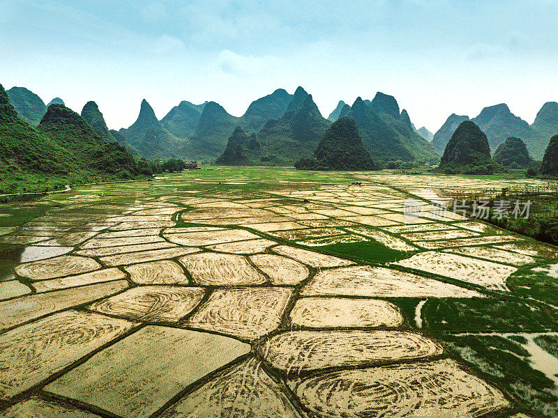 中国桂林喀斯特的稻田风光